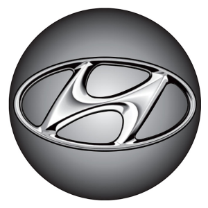 ADESIVO CALOTA 48MM HYNDAI RESINADO DEGRADE