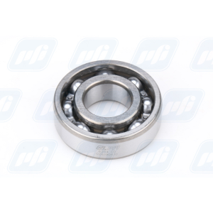 ROLAMENTO 6204 DDU PFI